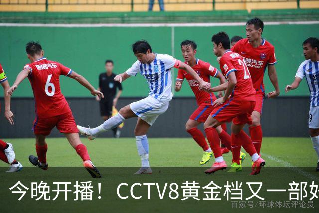 今晚开播！CCTV8黄金档又一部好剧来袭！全部实力派演员领衔